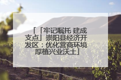 「牢记嘱托 建成支点」崇阳县经济开发区：优化营商环境 厚植兴业沃土
