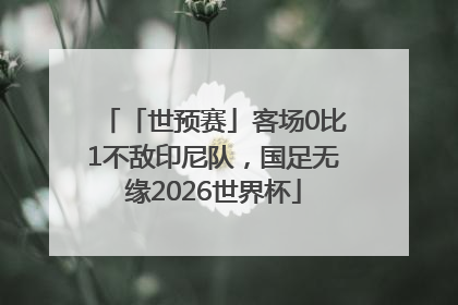 「世预赛」客场0比1不敌印尼队，国足无缘2026世界杯