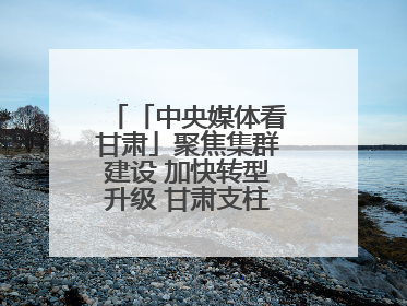 「中央媒体看甘肃」聚焦集群建设 加快转型升级 甘肃支柱产业增势强劲