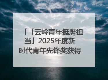 「云岭青年挺膺担当」2025年度新时代青年先锋奖获得者王敏奇——澜沧江上好渔人
