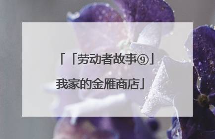 「劳动者故事⑨」我家的金雁商店