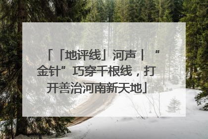 「地评线」河声丨“金针”巧穿千根线，打开善治河南新天地