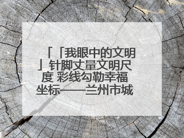 「我眼中的文明」针脚丈量文明尺度 彩线勾勒幸福坐标——兰州市城关区酒泉路街道办事处