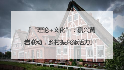 “理论+文化”：嘉兴黄岩联动，乡村振兴添活力