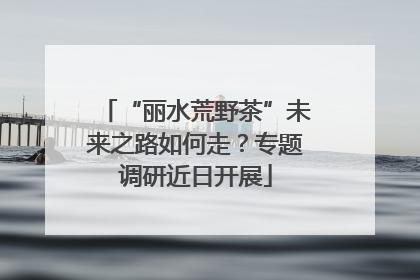 “丽水荒野茶”未来之路如何走？专题调研近日开展