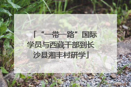 “一带一路”国际学员与西藏干部到长沙县湘丰村研学