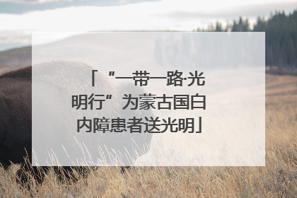 “一带一路·光明行”为蒙古国白内障患者送光明