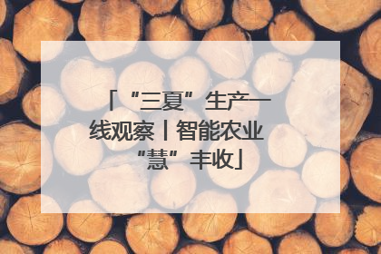 “三夏”生产一线观察丨智能农业“慧”丰收