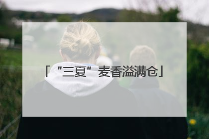 “三夏”麦香溢满仓