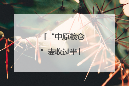 “中原粮仓”麦收过半