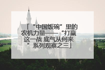 “中国饭碗”里的农机力量——“打赢这一战 底气从何来”系列观察之三