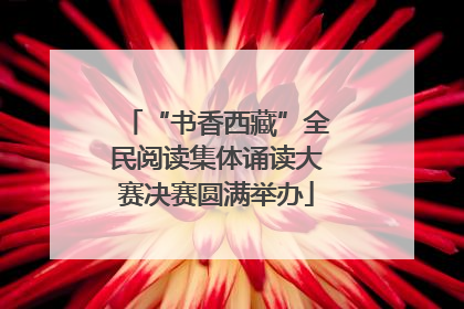 “书香西藏”全民阅读集体诵读大赛决赛圆满举办