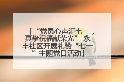 “党员心声汇七一，真挚祝福献荣光” 永丰社区开展礼赞“七一”主题党日活动