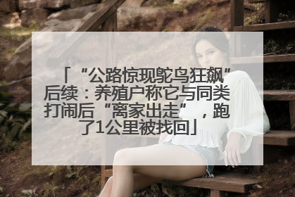 “公路惊现鸵鸟狂飙”后续：养殖户称它与同类打闹后“离家出走”，跑了1公里被找回
