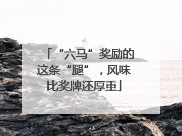 “六马”奖励的这条“腿”，风味比奖牌还厚重
