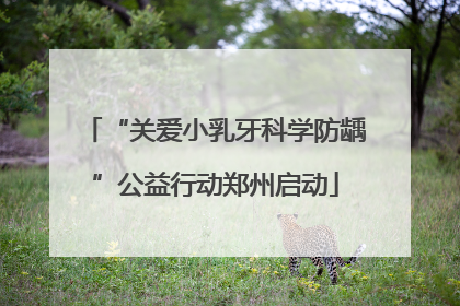 “关爱小乳牙科学防龋”公益行动郑州启动