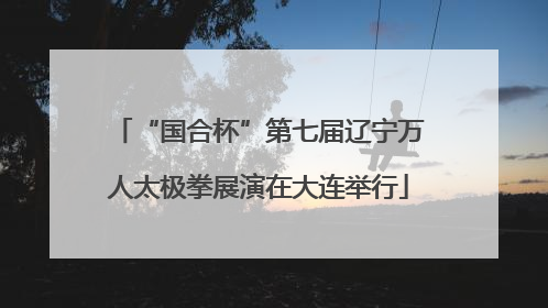 “国合杯”第七届辽宁万人太极拳展演在大连举行