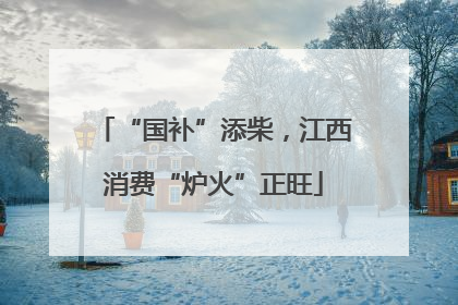 “国补”添柴，江西消费“炉火”正旺