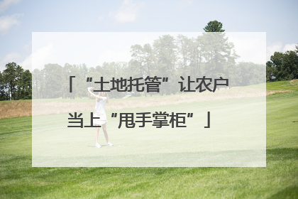 “土地托管”让农户当上“甩手掌柜”