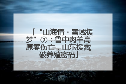 “山海情・雪域援梦”②：鲁中肉羊高原零伤亡，山东援藏破养殖密码