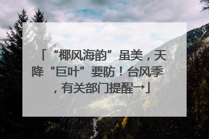“椰风海韵”虽美，天降“巨叶”要防！台风季，有关部门提醒→