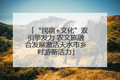 “民宿+文化”双引擎发力 农文旅融合发展激活天水市乡村游新活力
