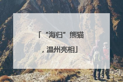 “海归”熊猫，温州亮相