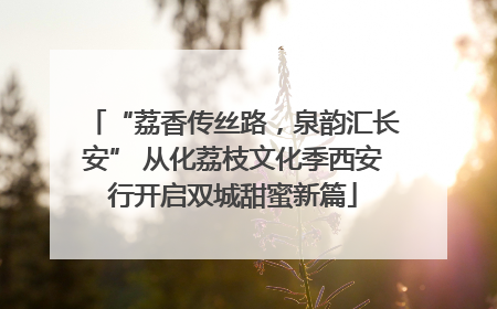 “荔香传丝路，泉韵汇长安” 从化荔枝文化季西安行开启双城甜蜜新篇