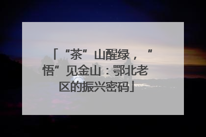 “茶”山醒绿，“悟”见金山：鄂北老区的振兴密码