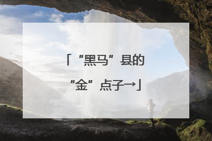 “黑马”县的“金”点子→