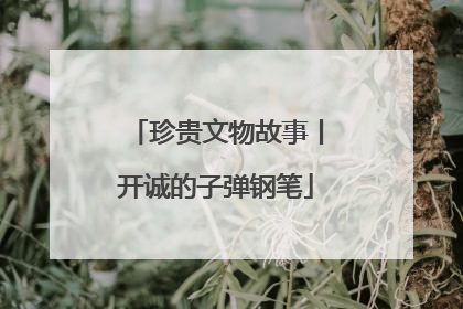 珍贵文物故事丨开诚的子弹钢笔