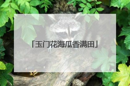 玉门花海瓜香满田
