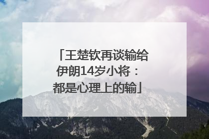 王楚钦再谈输给伊朗14岁小将：都是心理上的输