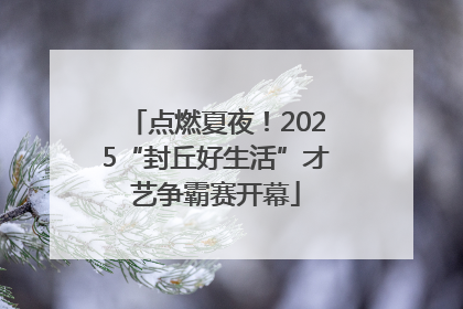 点燃夏夜！2025“封丘好生活”才艺争霸赛开幕