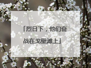 烈日下，他们奋战在戈壁滩上