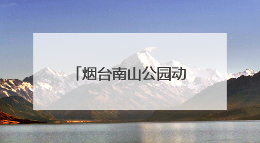 烟台南山公园动物园喜迎上海长颈鹿“新娘”