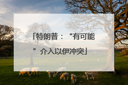 特朗普：“有可能”介入以伊冲突
