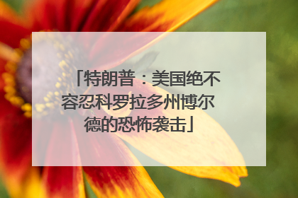 特朗普：美国绝不容忍科罗拉多州博尔德的恐怖袭击