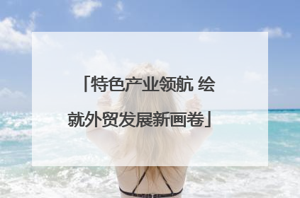 特色产业领航 绘就外贸发展新画卷