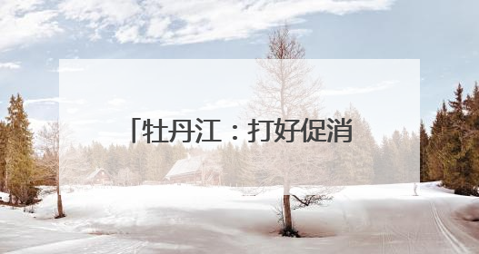 牡丹江：打好促消费“组合拳”激活夏日市场新活力