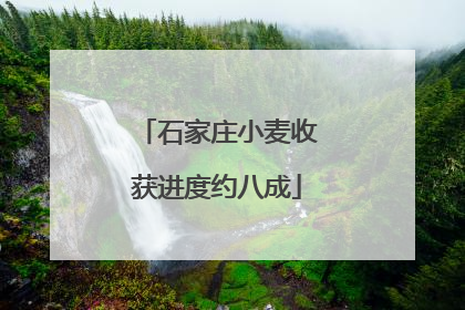 石家庄小麦收获进度约八成