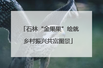 石林“金果果”绘就乡村振兴共富图景