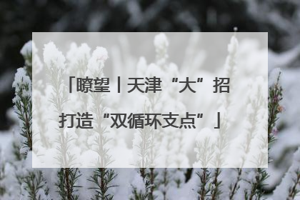 瞭望丨天津“大”招打造“双循环支点”