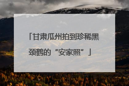 甘肃瓜州拍到珍稀黑颈鹤的“安家照”