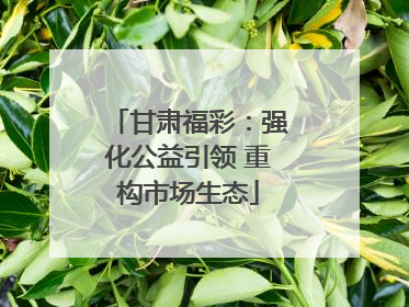 甘肃福彩：强化公益引领 重构市场生态
