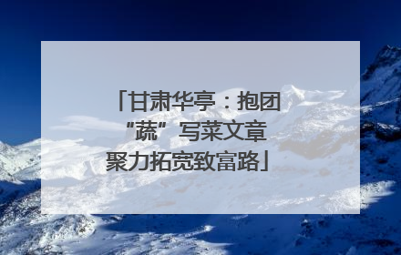 甘肃华亭：抱团“蔬”写菜文章 聚力拓宽致富路