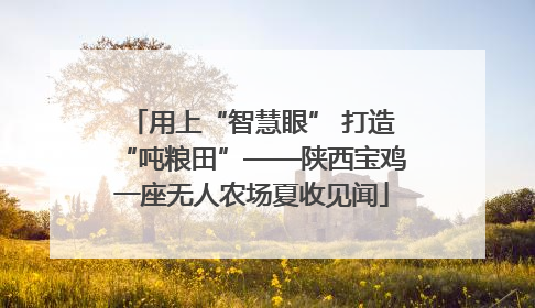 用上“智慧眼” 打造“吨粮田”——陕西宝鸡一座无人农场夏收见闻