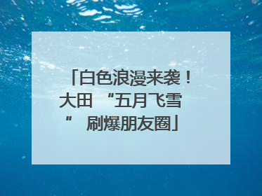 白色浪漫来袭！大田 “五月飞雪” 刷爆朋友圈
