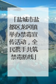 盐城市盐都区龙冈镇举办禁毒宣传活动，全民携手共筑禁毒防线