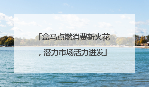 盒马点燃消费新火花，潜力市场活力迸发